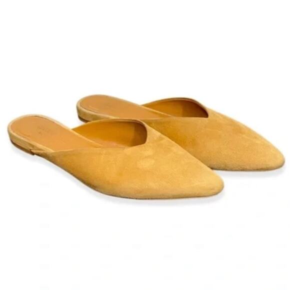 EVERLANE The V Mule Mustard Yellow Pointed Toe Slip On Suede Leather 6.5 NEW - Picture 1 of 7